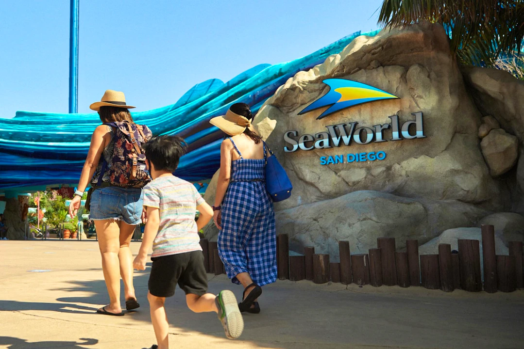 SeaWorld San Diego Ticket: Direct Entry